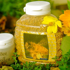필리핀 일록마리아 Bee Pollen small Size - 꿀벌 화분