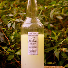 필리핀 일록마리아 Citronella Fly Repellent - 시트로넬라 파리 기피제