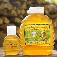필리핀 일록마리아 Propolis Gold - 프로폴리스 골드 30ml